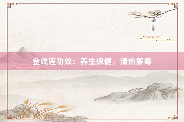 金线莲功效：养生保健，清热解毒