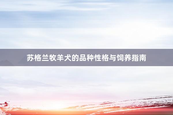 苏格兰牧羊犬的品种性格与饲养指南