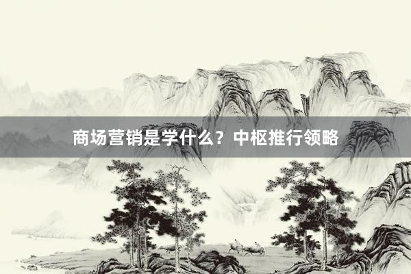 商场营销是学什么?中枢推行领略